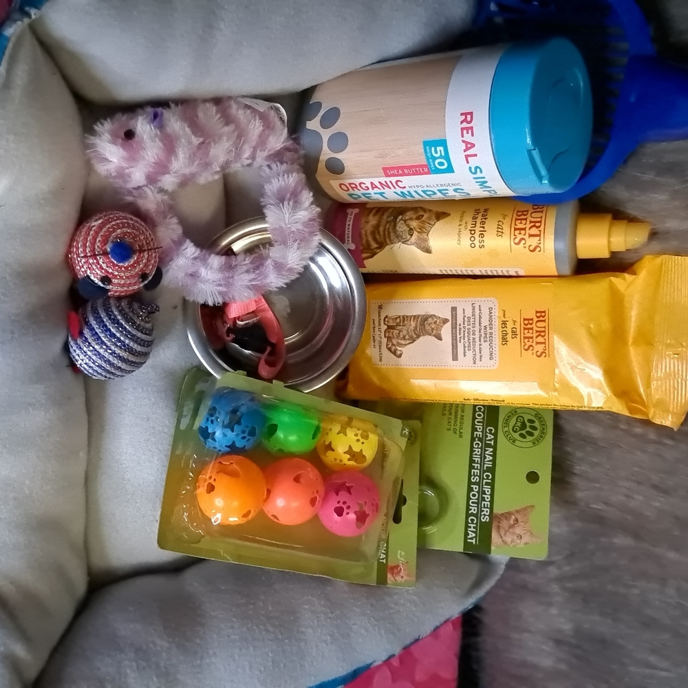 Kitty Kat Bundle Cat Care Bundle Kitten Balls Bed Dish Wipes Pet Spray Nail Trim